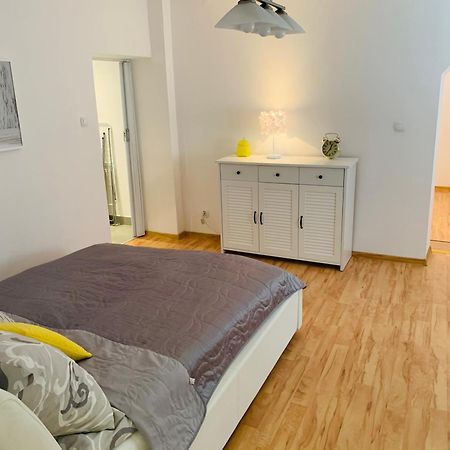 Apartament Rodzinny Z Ogrodem チェシン エクステリア 写真