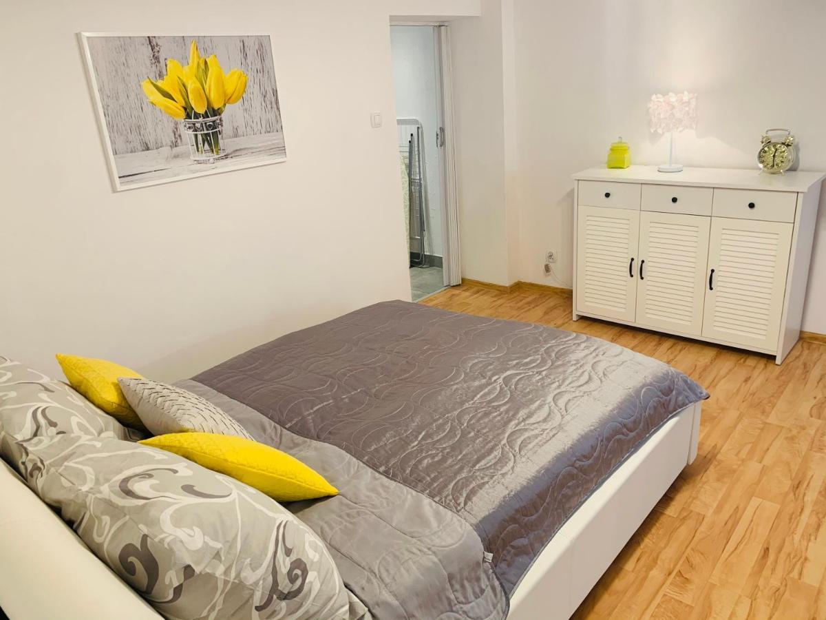 Apartament Rodzinny Z Ogrodem チェシン エクステリア 写真