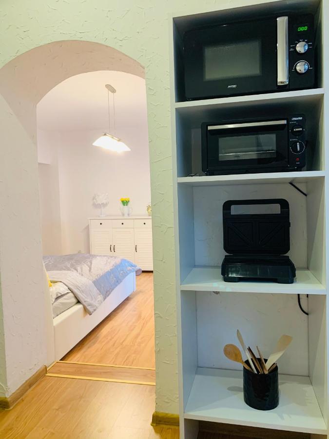 Apartament Rodzinny Z Ogrodem チェシン エクステリア 写真